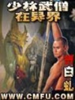少林武僧在异