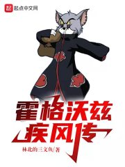 霍格沃茨疾风