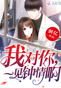 我对你，一见